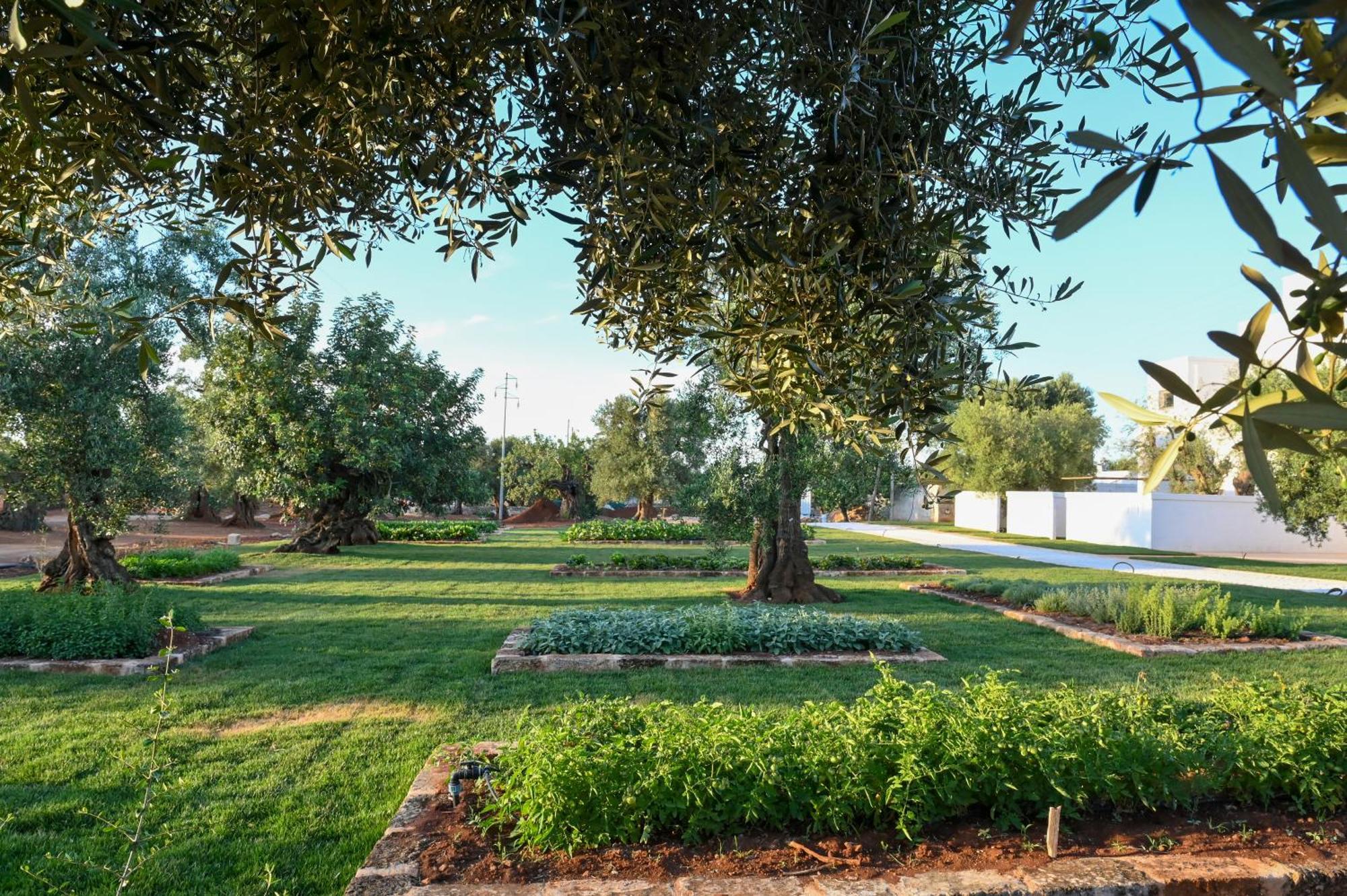 Masseria San Lorenzo Resort Фазано Екстер'єр фото